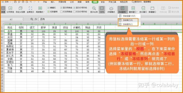 冻结过程分为哪几个阶段