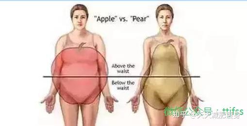 皮下脂肪难减吗 那减内脏脂肪岂不是登天 总不能让它做几个卷腹吧 知乎