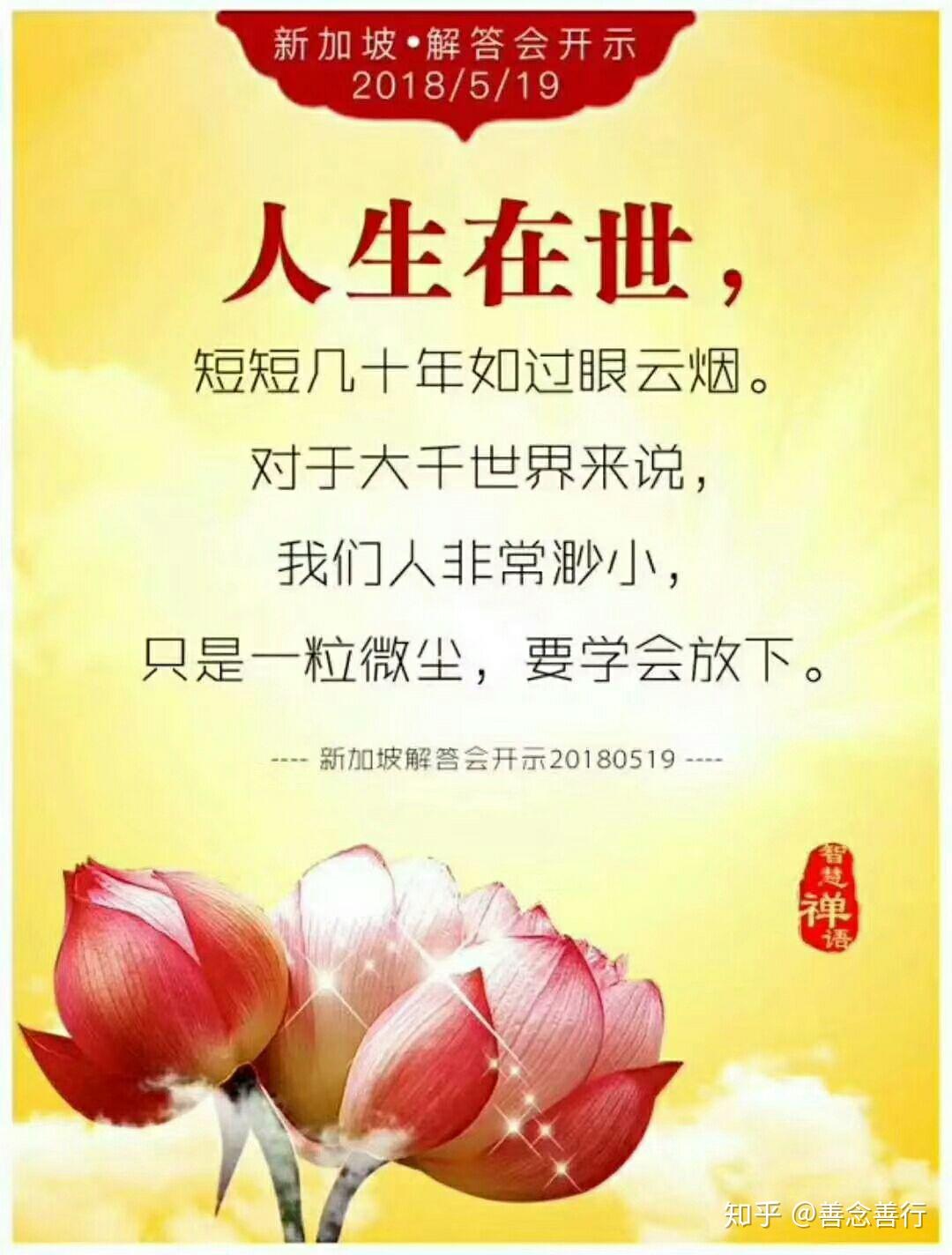 一切都是最好的安排 - 知乎