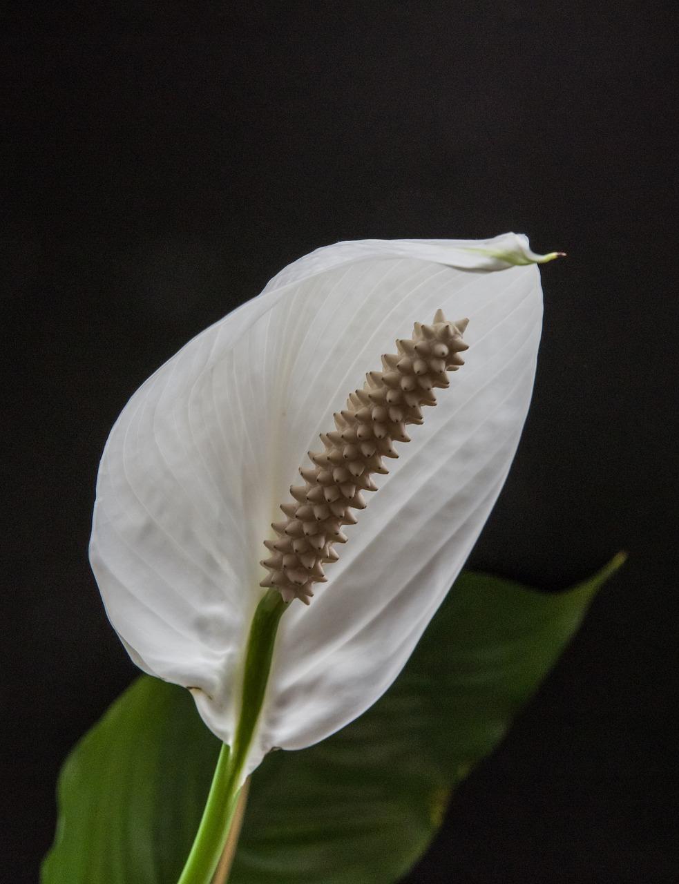 3. 交通配套详述