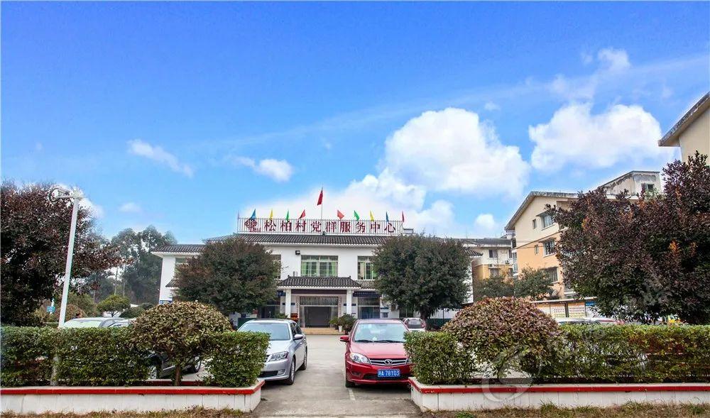 为家乡点赞双流这两个村被命名为2019年度四川省实施乡村振兴战略工作