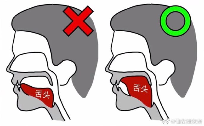 舌头摆放的位置也会影响一个人的脸型