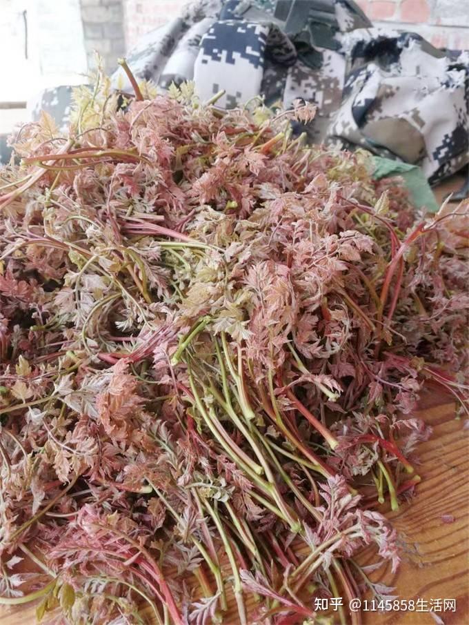 北京密云古北水镇龙捧峪民宿正房是欧式建筑厢房是中式建筑