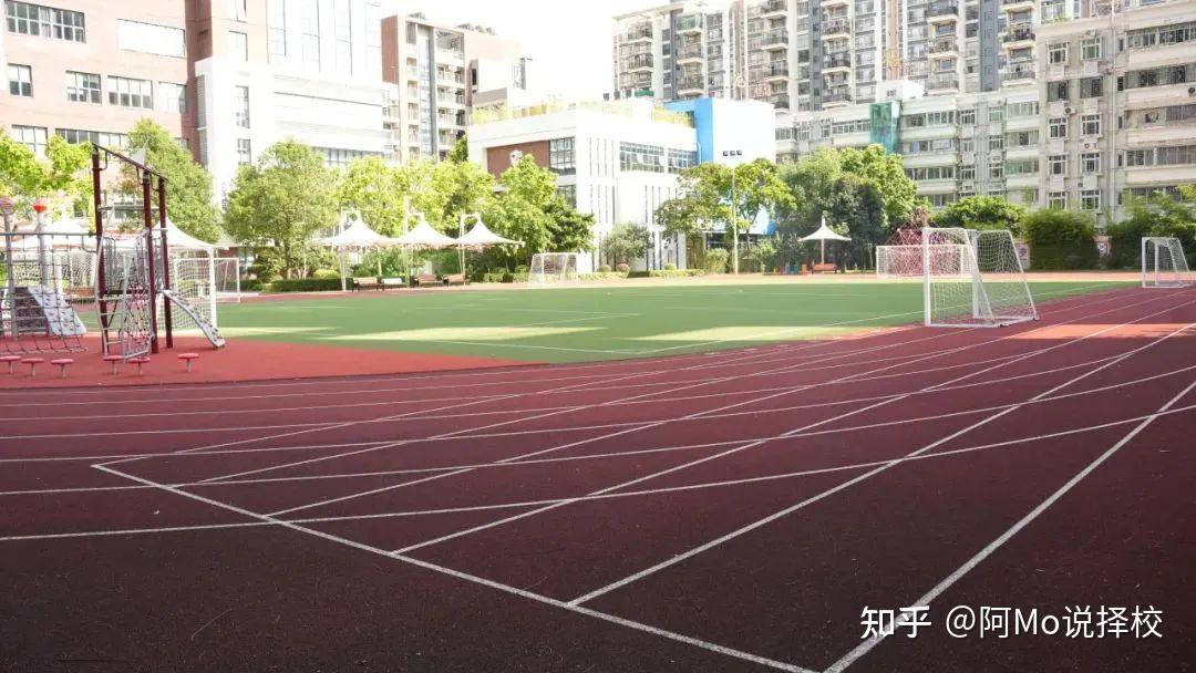 探校佛系但升学好师生幸福感超强走进isns南山外籍人员子女学校