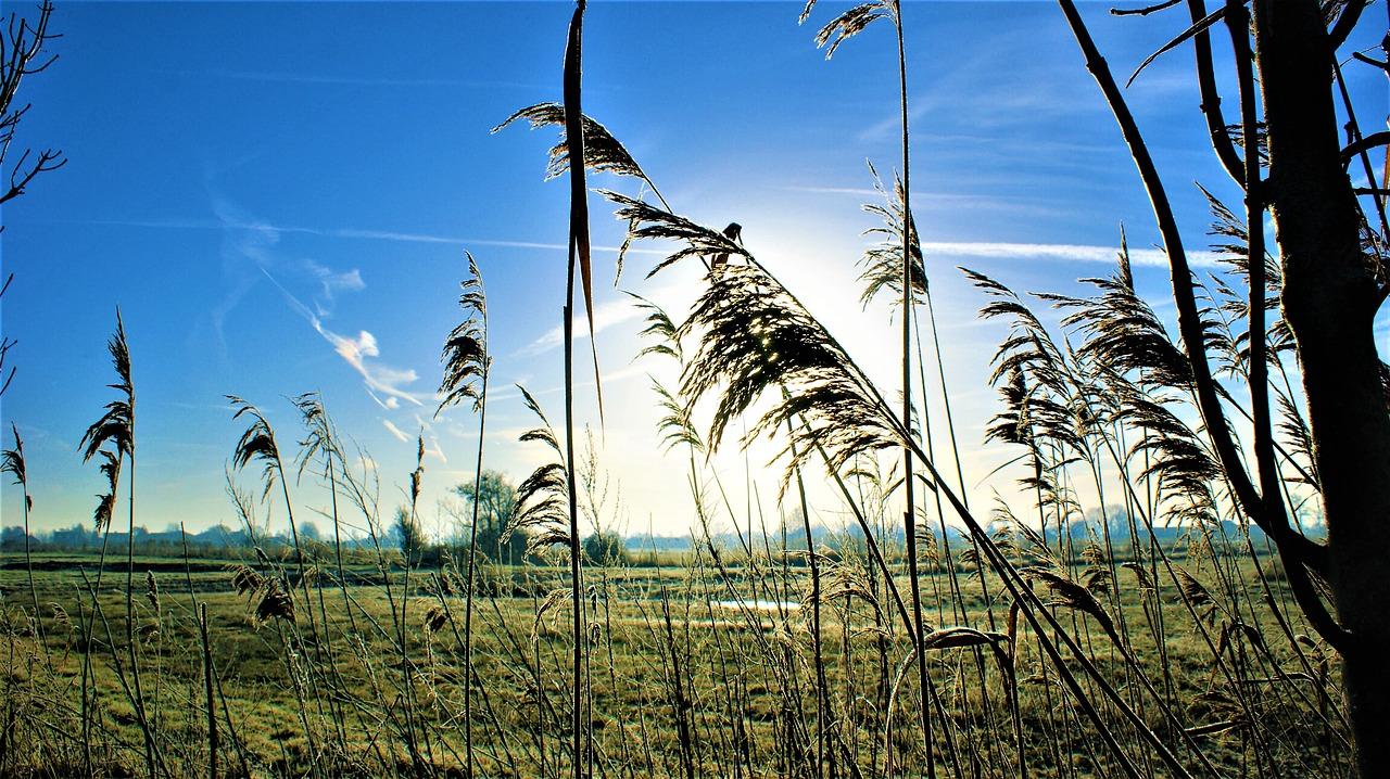 2. 火星与太阳距离