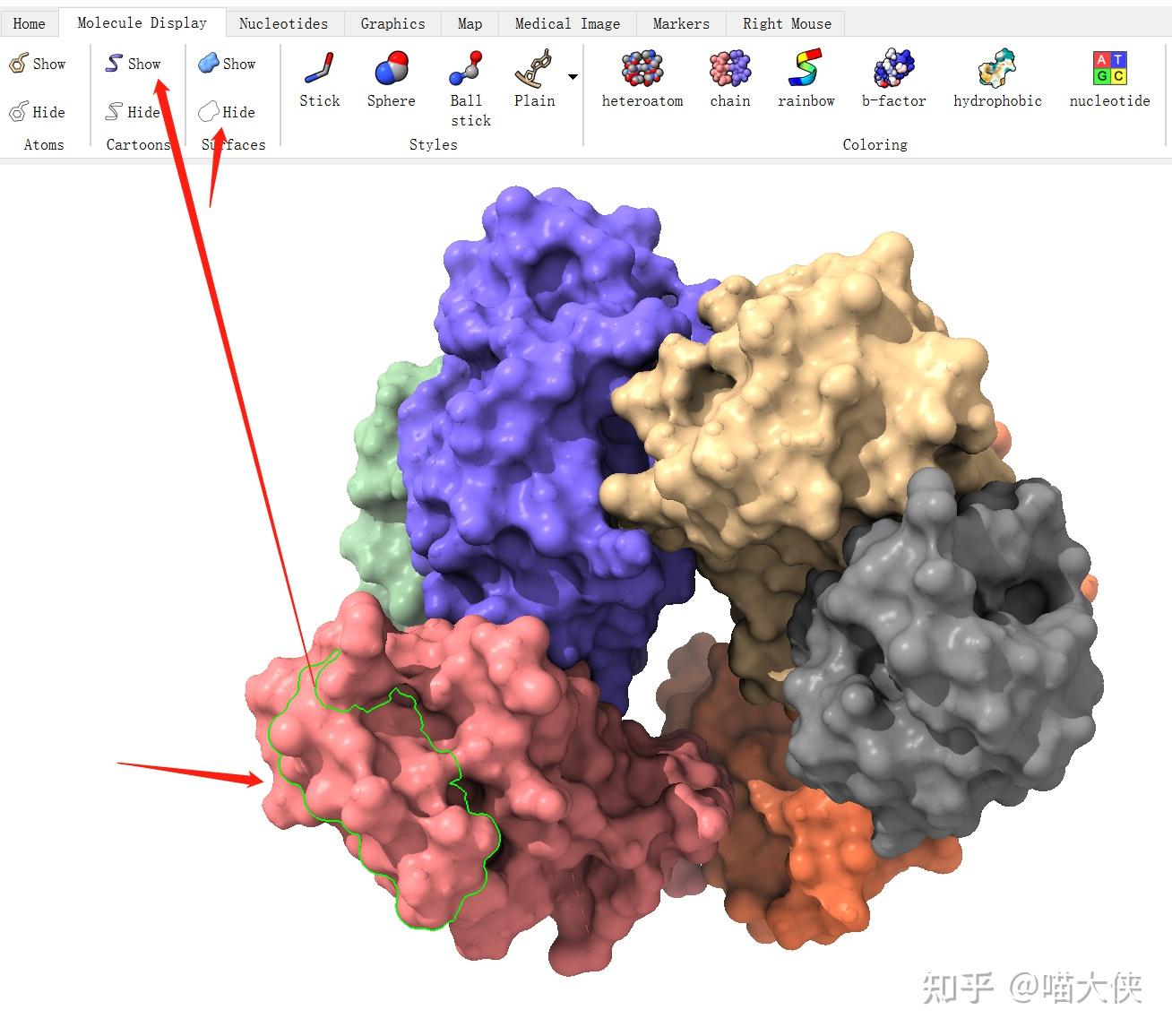 Science：蛋白质设计大神+顶级AI算法 - 上海科普网