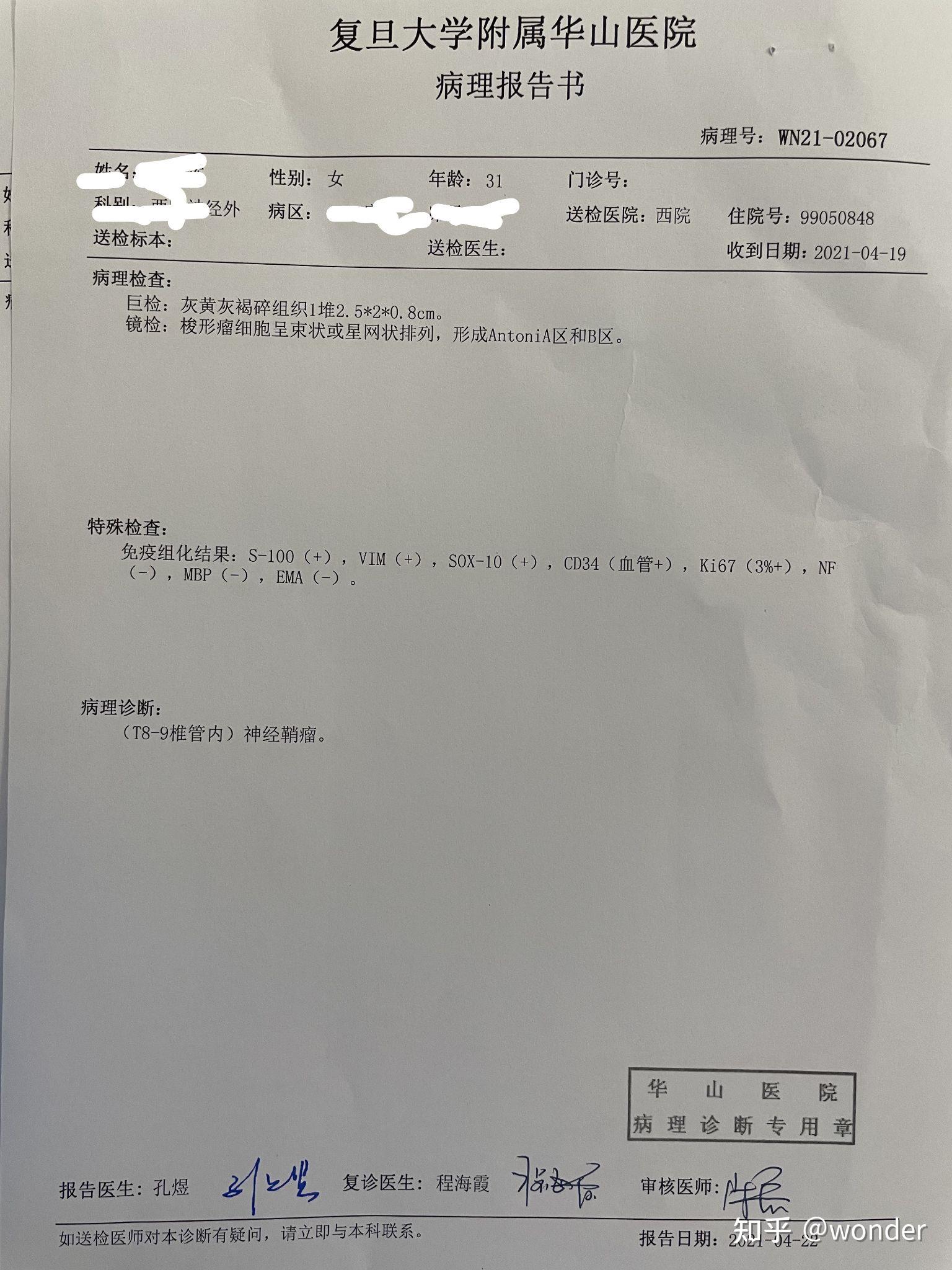 多发性骨髓瘤病理报告图片