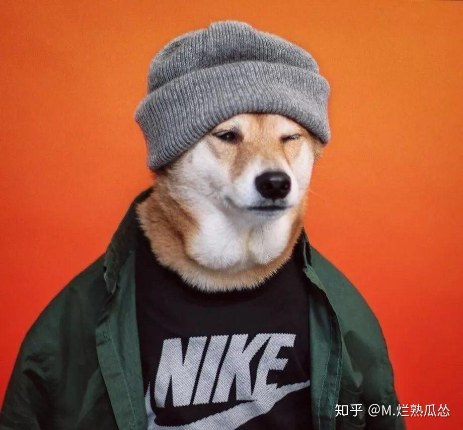 为什么很多男生很爱用狗的图片做头像