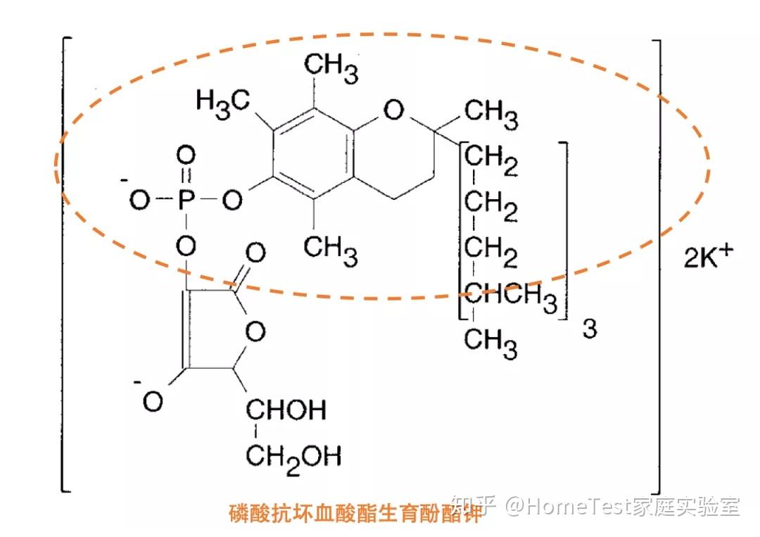 成分党No.4 | 深扒配方师最爱的VC衍生物（下） - 知乎