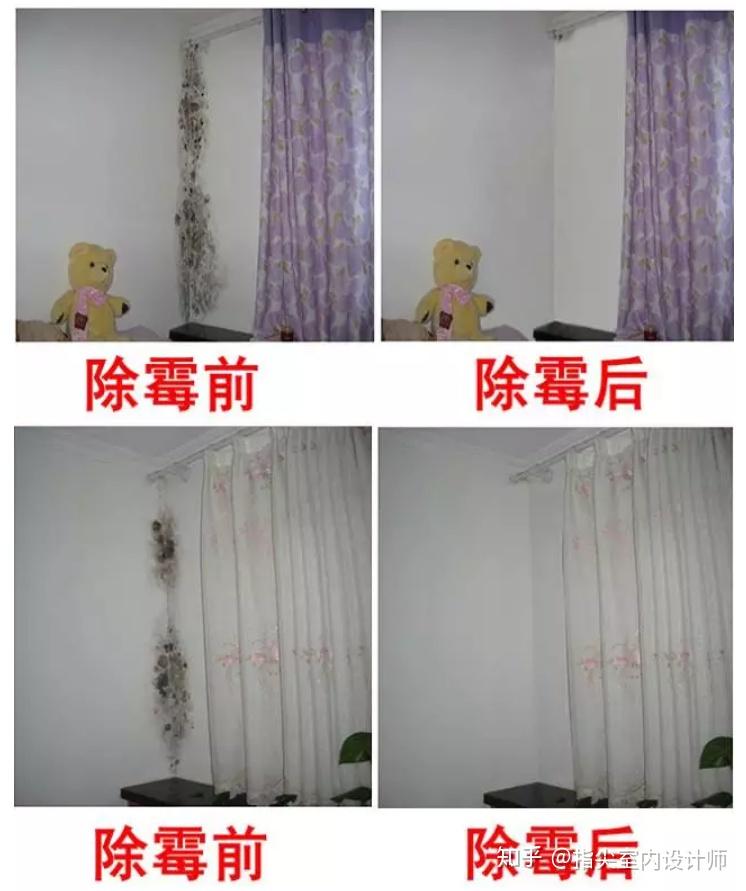 v2-47320d2554a4565a2318fcaff4e7cc40_r.jpg