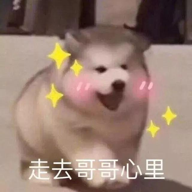 斗图表情包|斗图搞笑表情包|撩人必备表情包可爱|斗图神器表情包