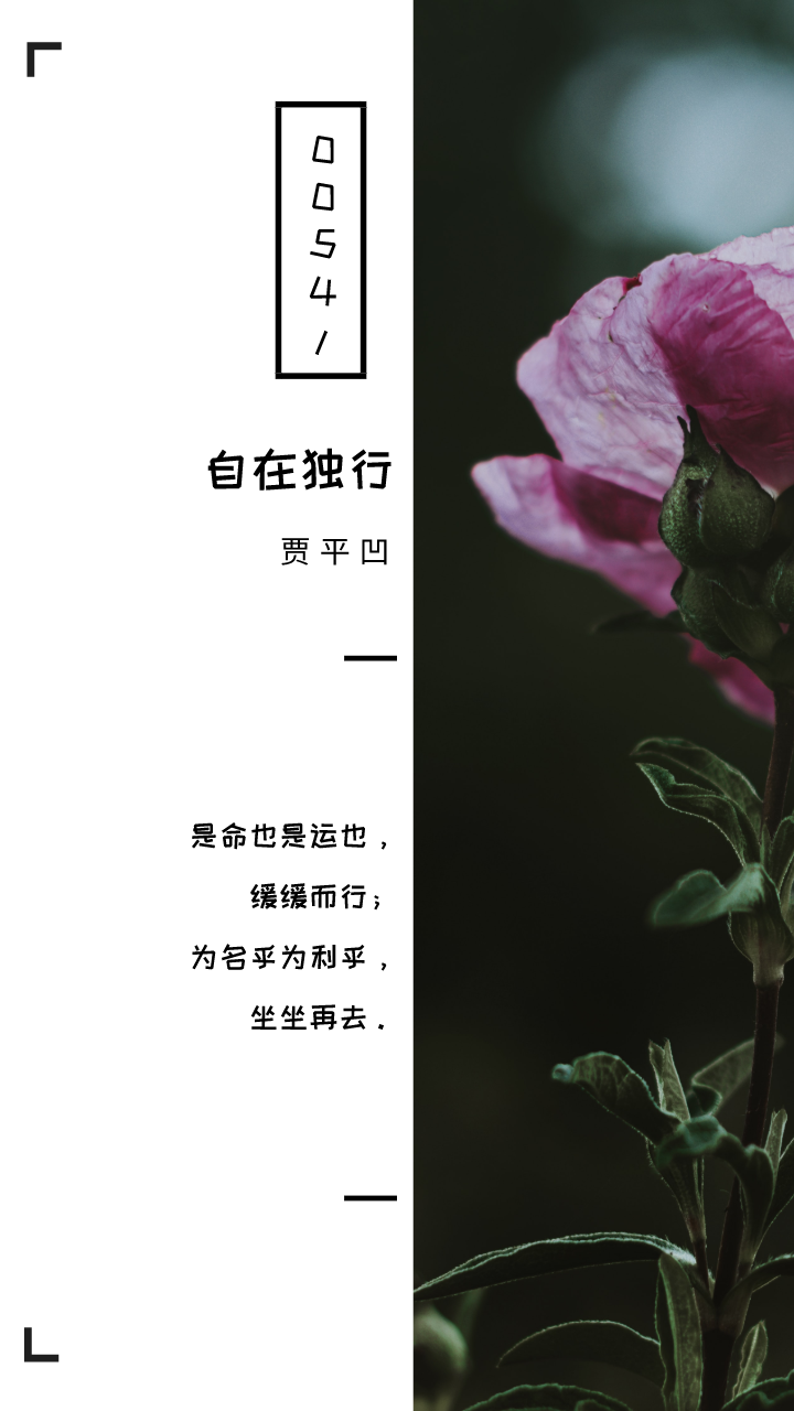 自在独行十句经典句子