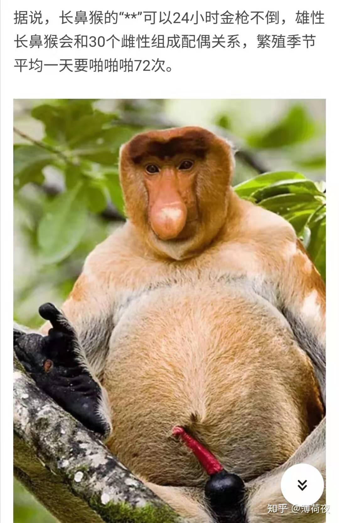 朋友的女朋友是个公交车但是他自己不知道我们应该用