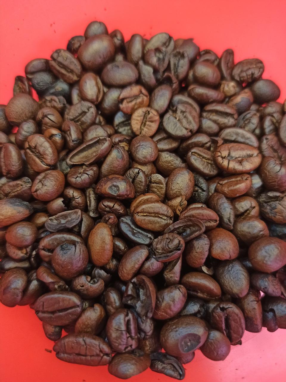 泡小西区多少人