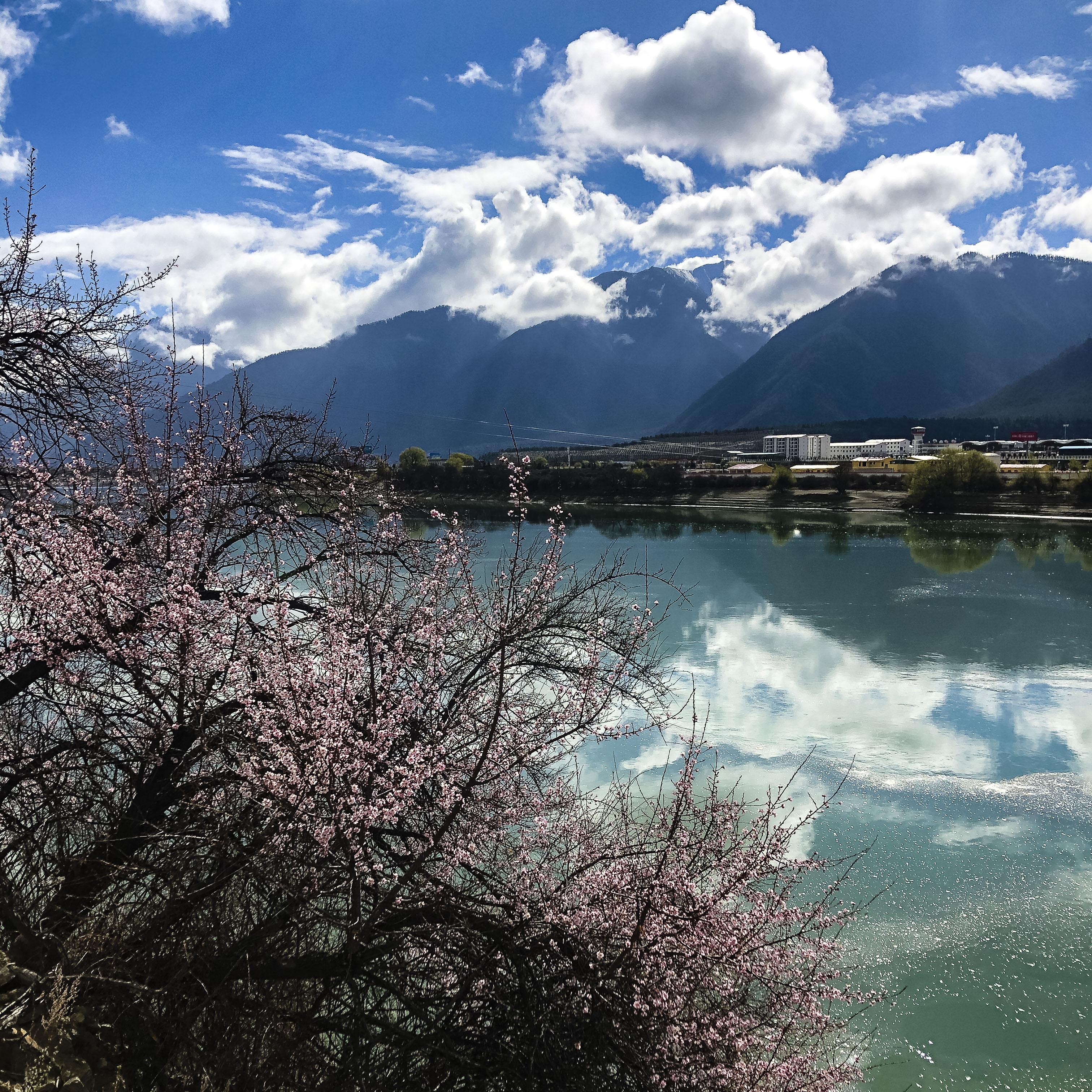 风景照原相机图片