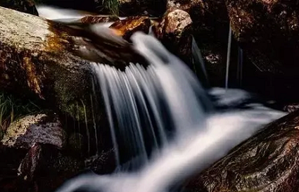 拍照怎么拍出高清画质 v2-475923940ffed1b99b32114437f02b82_1440w.jpg?source=172ae18b