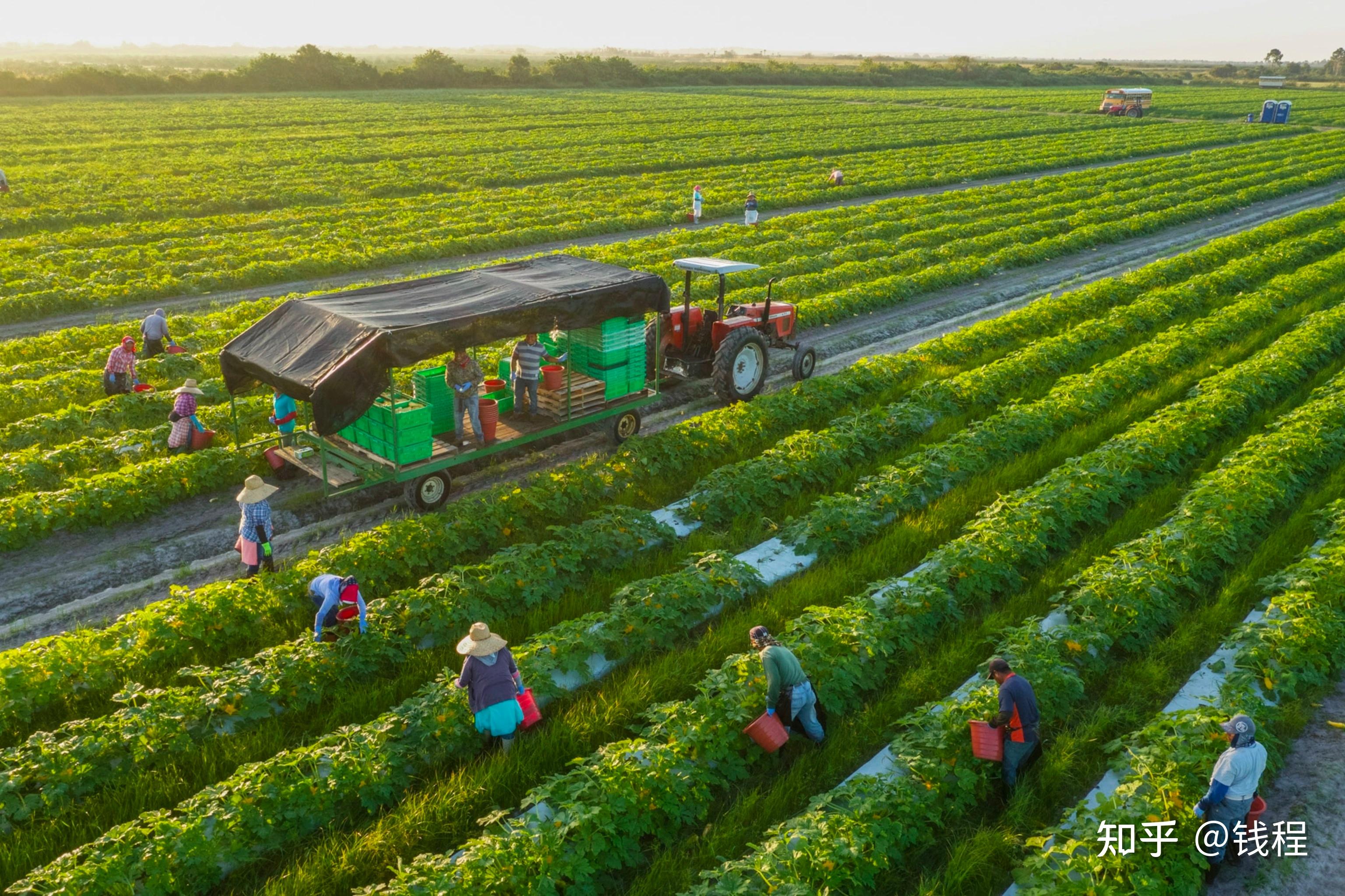 有机食品是在借概念「骗钱」吗? - 知乎