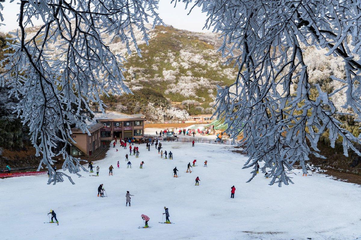 大雪过后,漫步山巅,一路穿越林海,路旁到处是挂着冰雪的林木.