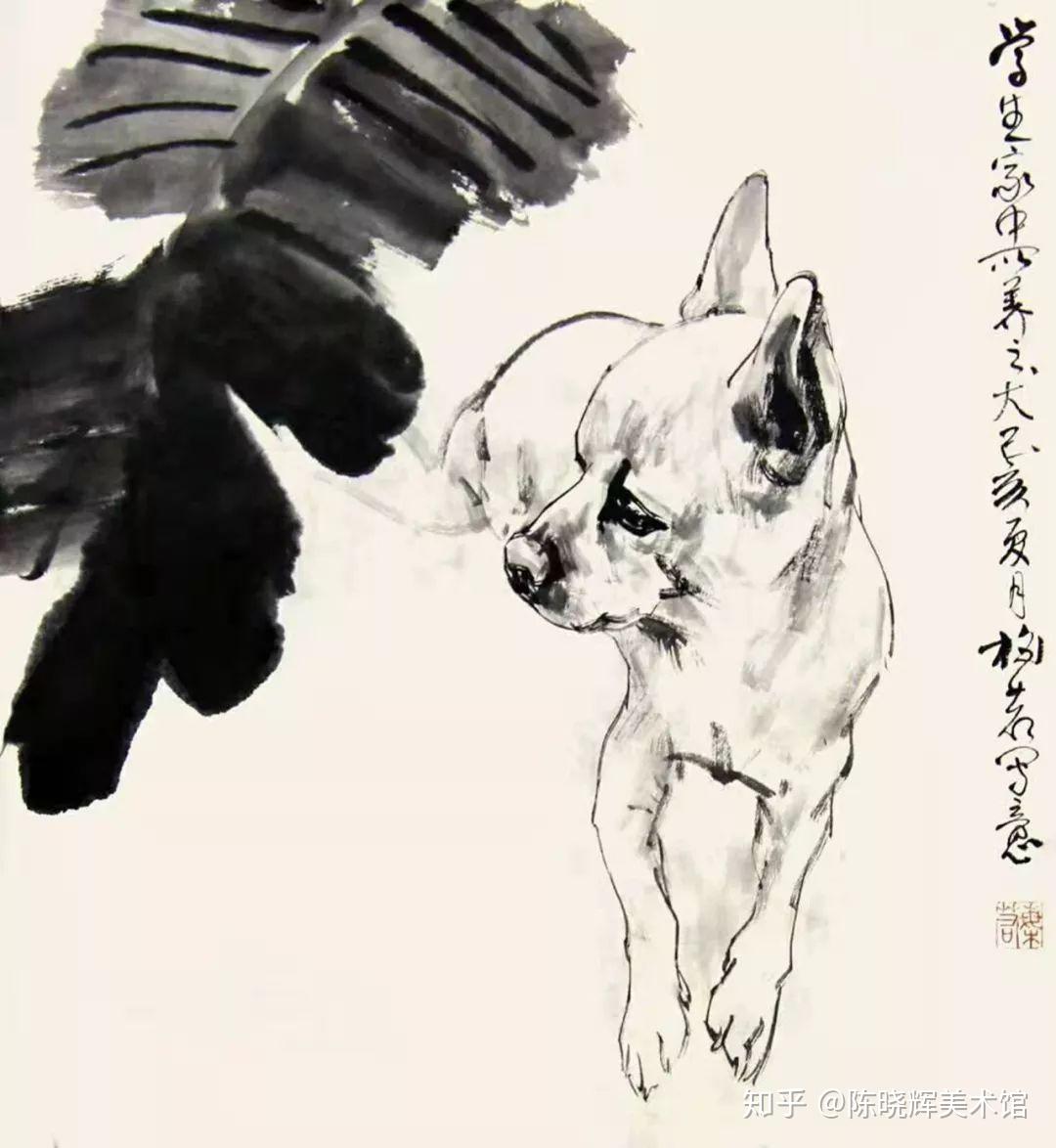 动物画手短剧，人与自然的和谐共舞，人与自然的和谐共舞，动物画手短剧