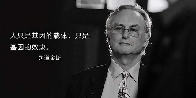 柯立芝效应:69人为什么会出轨69