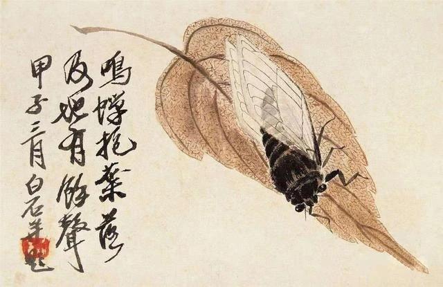 齐白石的蝉知了举世无双