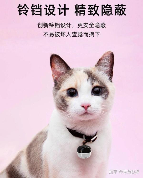 宠物gps定位器推荐 牛马羊猫狗追踪器 放牧必备神器 知乎