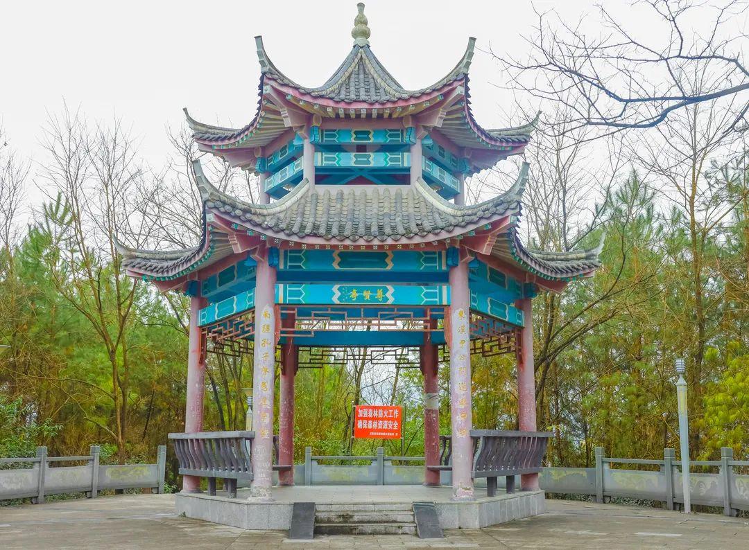 城区休闲一日游步履匆匆不如来正安慢悠悠的过一天