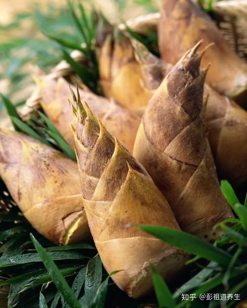 它与春笋,夏笋不同,"低调"地长在地下,尚未破土而出,营养价值也较高.