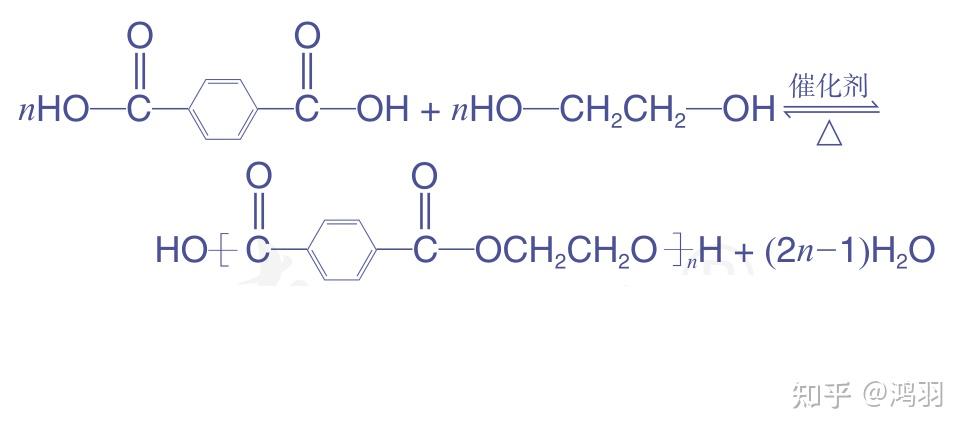乙烯加聚反应，乙烯加聚反应的链节