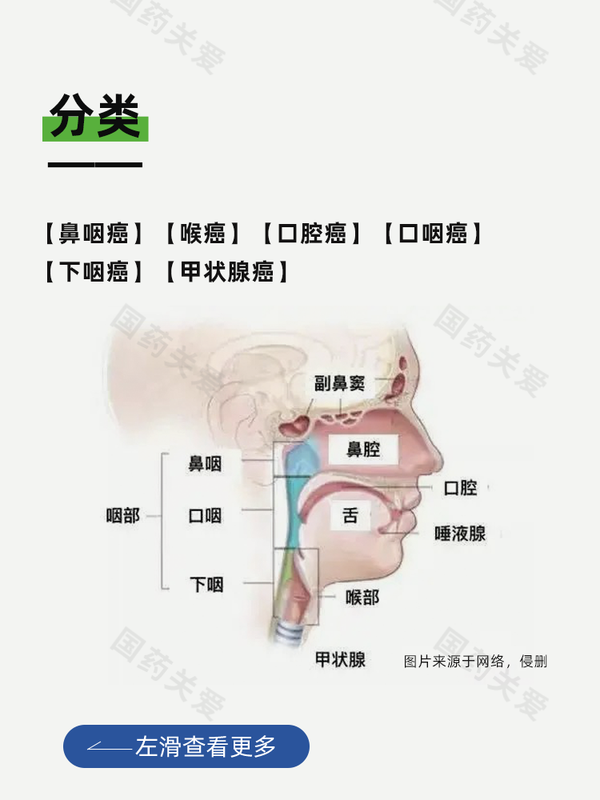世界头颈癌日丨一文读懂头颈癌 - 知乎