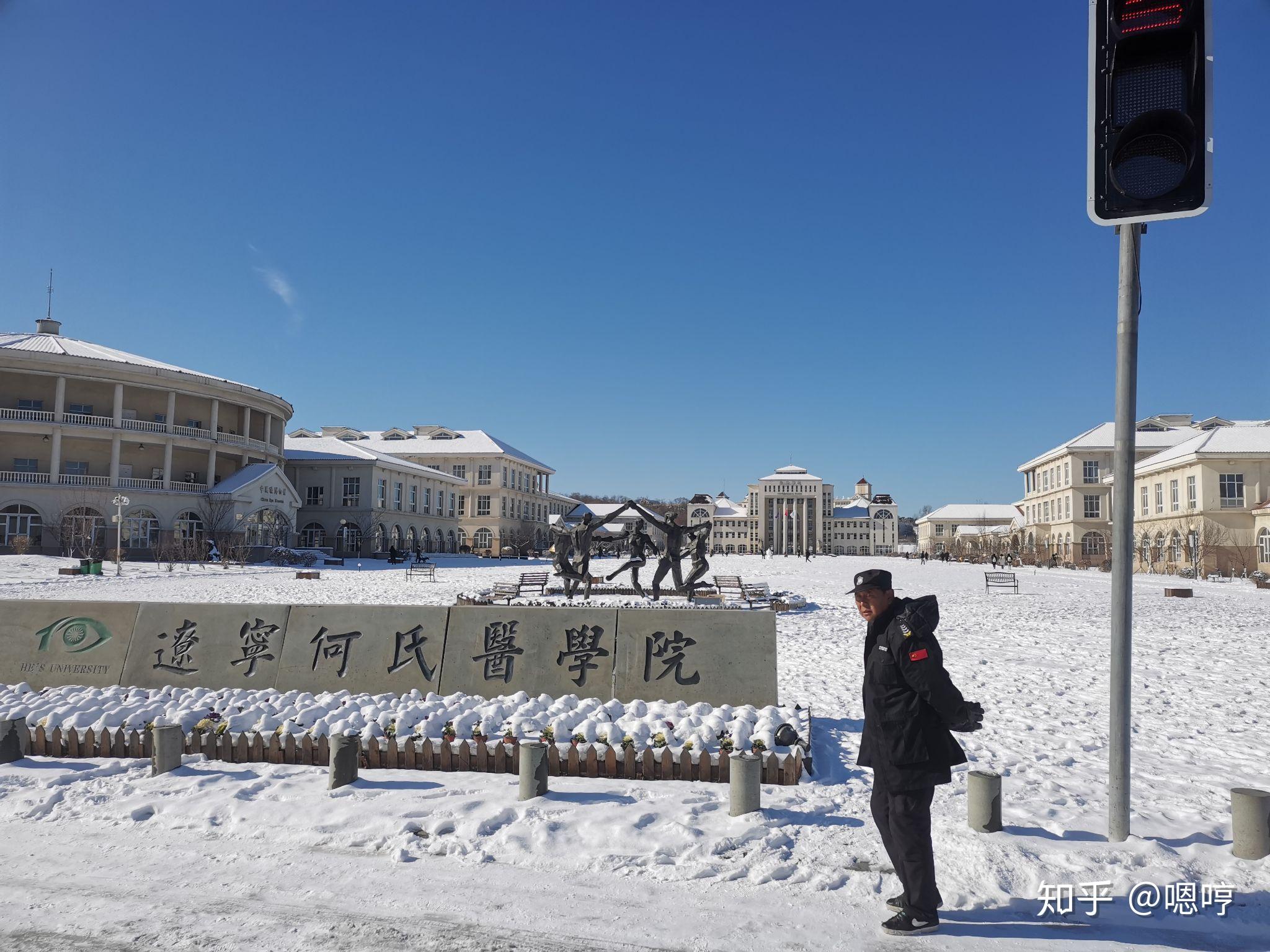 辽宁何氏医学院何向东图片