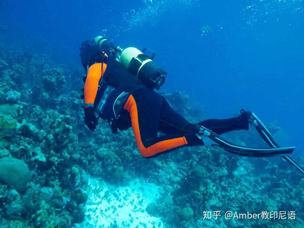 海龟为什么在水里游得快 v2-47a2e1ee0973e3212836893a6224fbf4_r.jpg