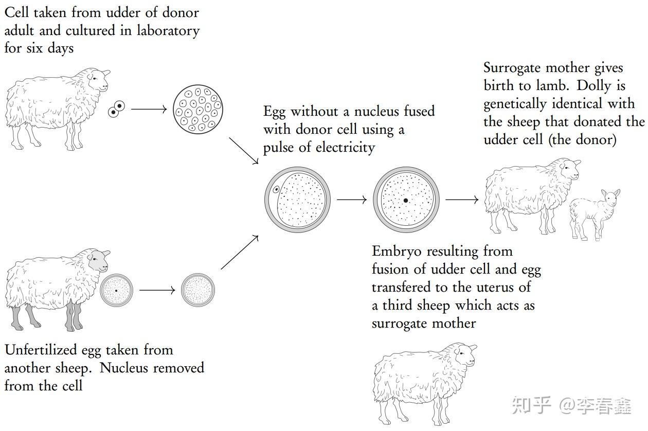 Topic 3.5 Genetic modification and biotechnology - 知乎