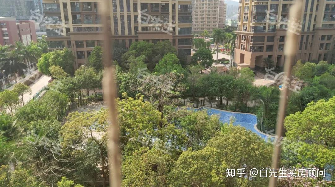 撑起龙华红山房价的深高北,学区内四大楼盘谁最强? - 知乎