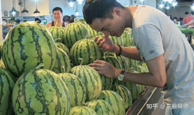 夏天怎么挑选好西瓜,记住这4招让你轻松挑到好瓜插图22 夏天怎么挑选好西瓜,记住这4招让你轻松挑到好瓜插图22