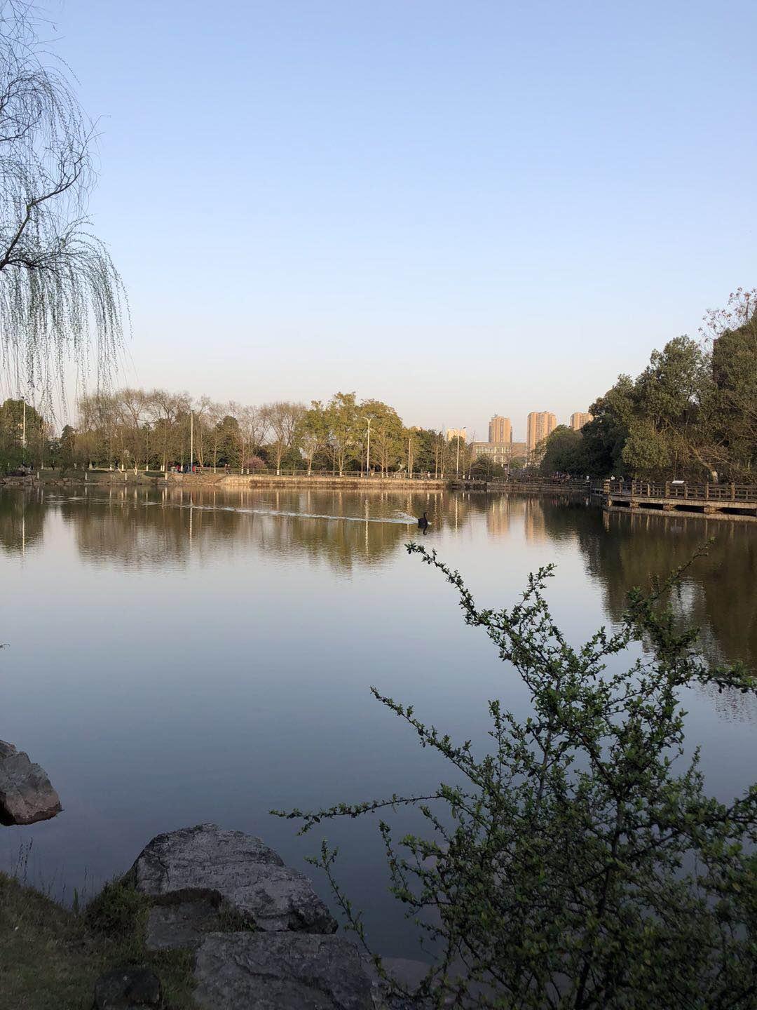 重庆大学的整体水平怎么样?适合文科生报吗?