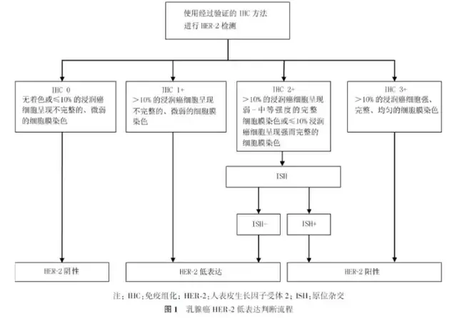国内药企能分几杯羹?