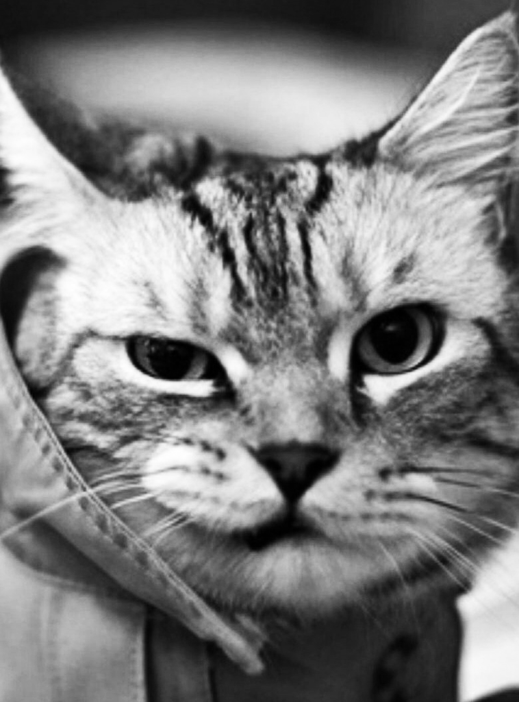 有什么创意kindle屏保壁纸