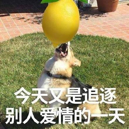 有哪些憨憨朋友圈文案让人看一次笑一次