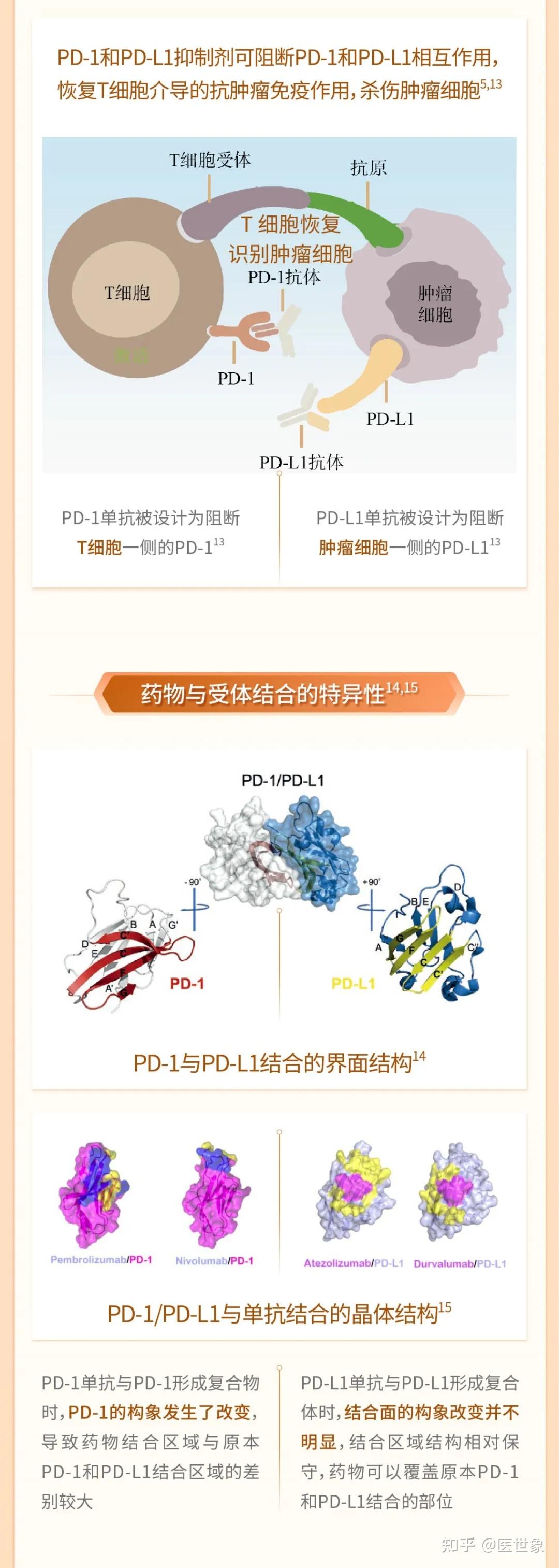 pd1与pdl1的6大区别