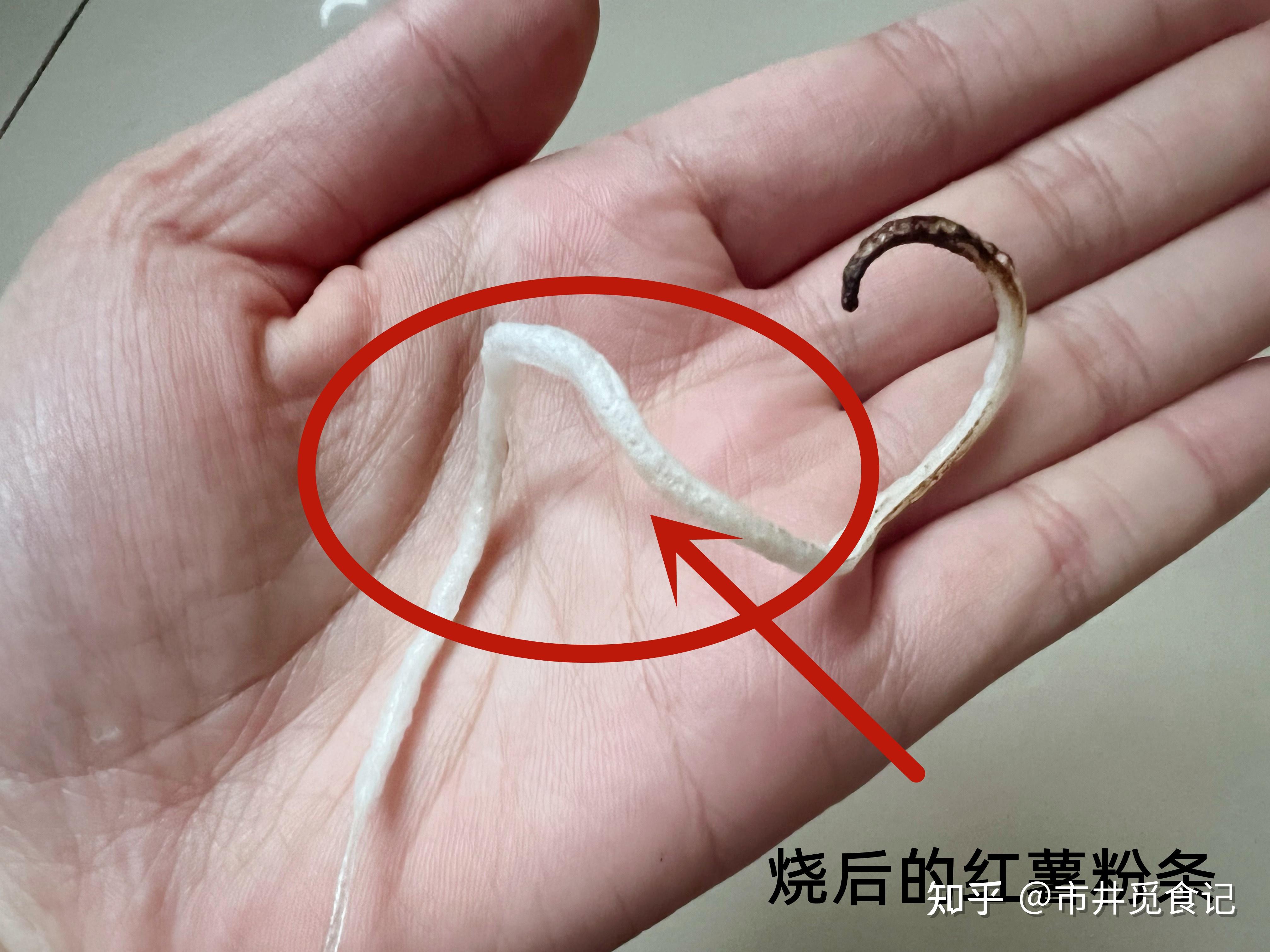 20元5斤的红薯粉条是假的吗教你4招认识冒牌货买到好粉条