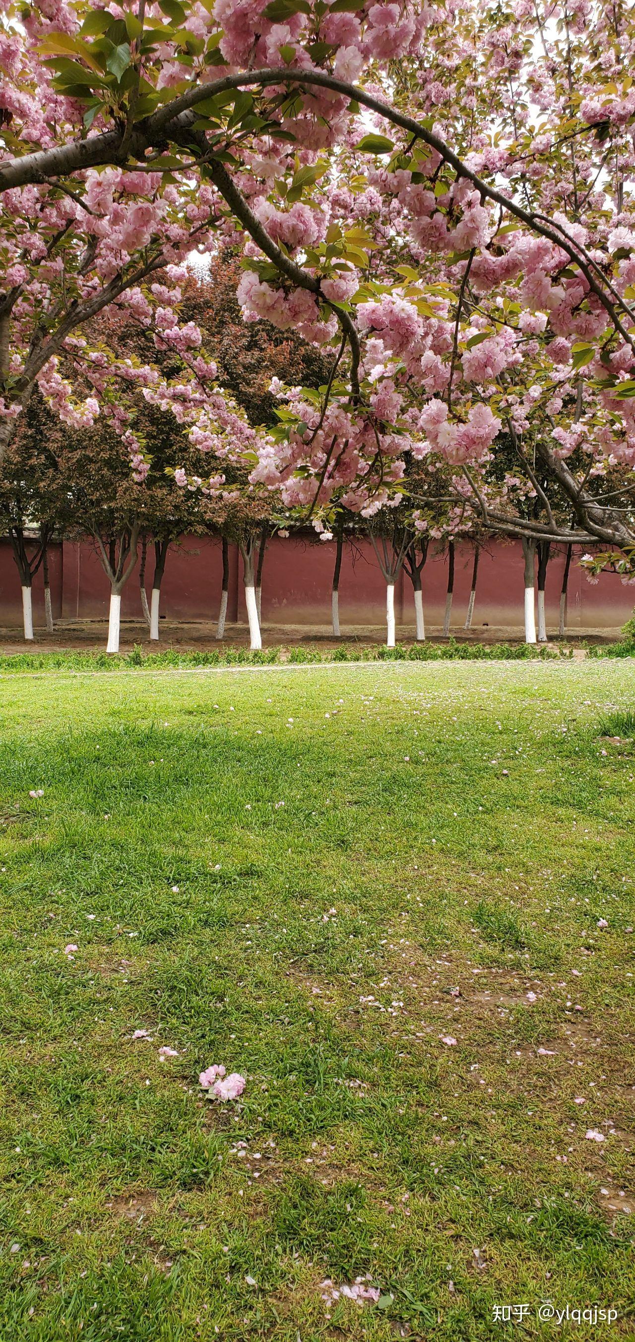 你拍过哪些能体现出「春天在这里」的照片?