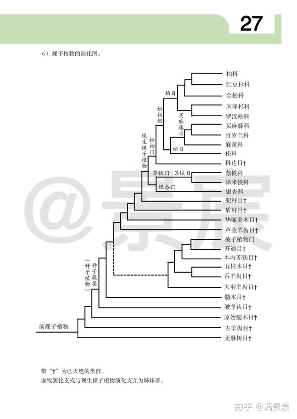 植物系统发生树及植物演化1 - 知乎