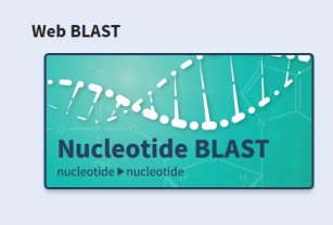 如何用Blast查找和比对基因序列 - 知乎