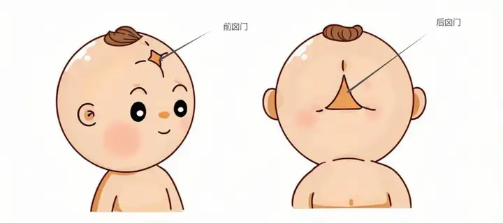宝宝囟门=命门！何时闭合才正常？ - 知乎