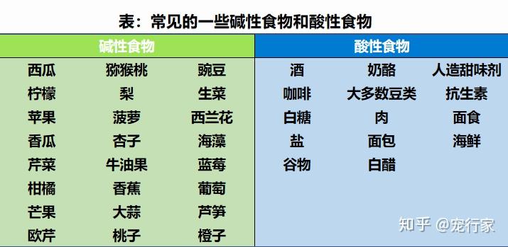 狗狗不用吃果蔬?9个理由让你每天给狗喂水果和蔬菜