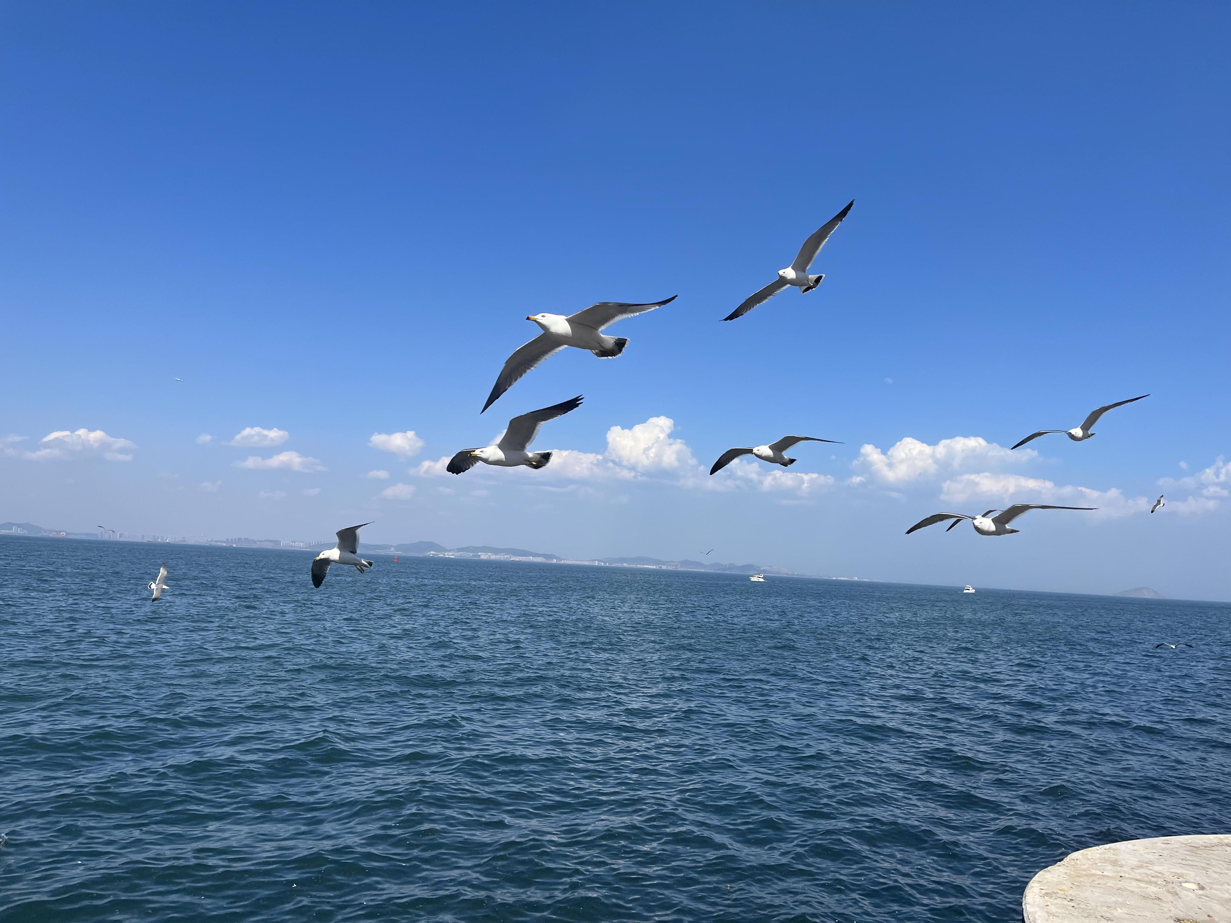 写回答 登录/注册 图片 照片 相册 海洋 可以分享一张你相册中的大海