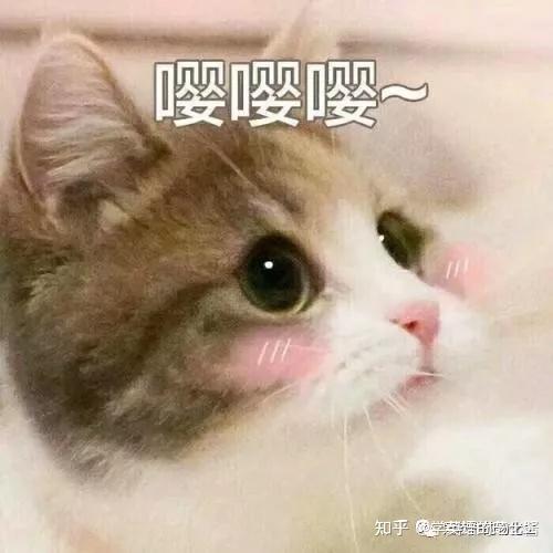 美剧爱好者必看