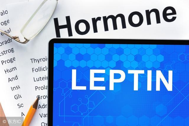 瘦素(leptin)这个名字起的好,让胖子们怦然心动,认为多来一点瘦素自己