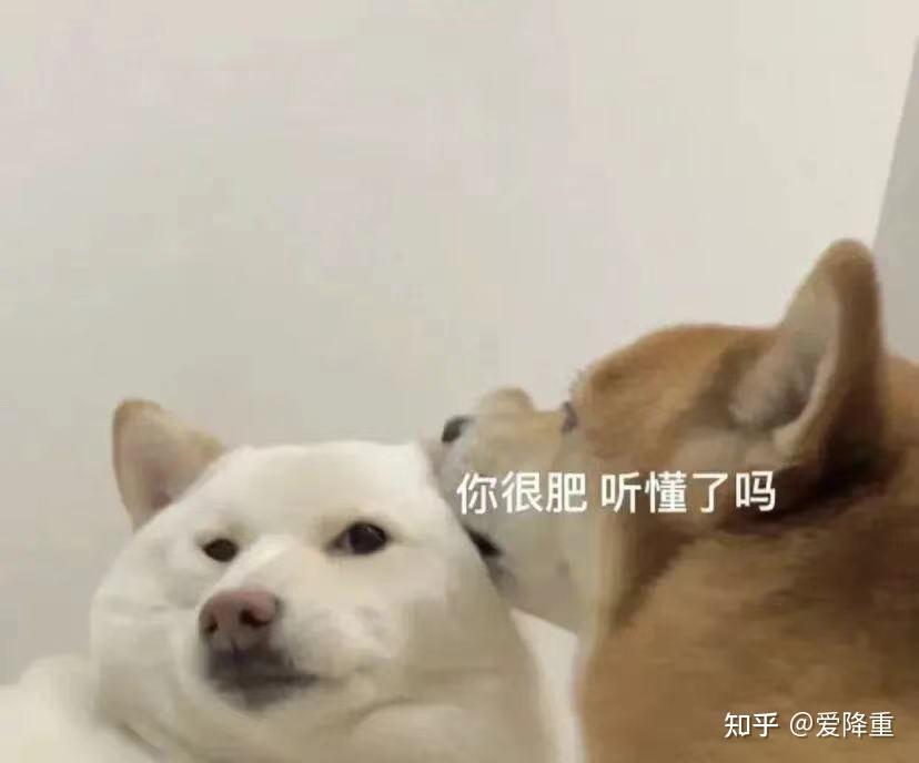 一些可可爱爱的修猫修勾表情包 - 知乎